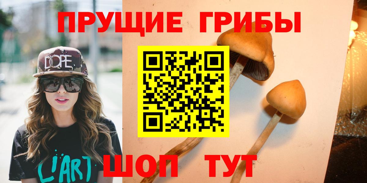 Тихорецк  Галлюциногенные грибы MAGIC MUSHROOMS  Вход с VPN 